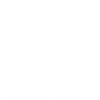 Pole vaulter