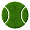 L'icona della palla da tennis nell'erba sembra prato verde