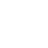 Quetschn diatonisch harmonisch | ZiachON!