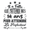 14 ans / perfection