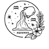 Aquarius Zodiac Sign Birthday Birth
