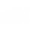 évolution boxe / evolution boxeur