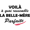 belle-mère parfaite