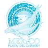 Humpback whales Playa del Carmen
