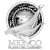 Humpback whales Playa del Carmen