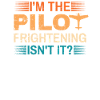 Ich Bin Pilot - Flugkaptiän Passagierflugzeug