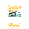 Accountant Bookkeeper Accounting
