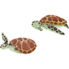 Turtles ahoy!
