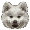 niedliche motive, hundebaby gesicht