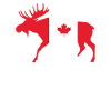 Kanada Elch