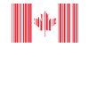 Né au Canada Cadeau canadien