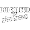Bricoleur du dimanche t-shirt rigolo