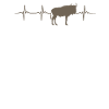 Wildebeest heartbeat