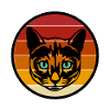 Big Cats Rule