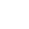 Stingray - Fish