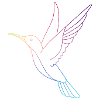 Kolibri