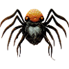 Hairy spider