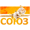 Soyuz spacecraft