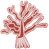 Nazca Lines Tree