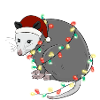 Christmas Lights Rat Christmas