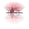 Japanese Cherry Blossom Arrowtag