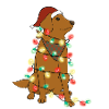 Christmas Lights Dog Christmas