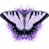 Papillon blanc à fleur pourpre