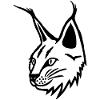 Portrait of the black lynx