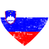 Slovenia Flag Heart