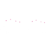vier katzen katze symbol freunde