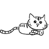 chat couché curieux animal doux