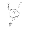 Woolly Beastie fully fed © Chyropterum Innoxius