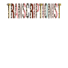 Transcripteur