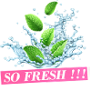 So Fresh