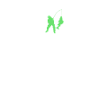 Fishing Daddy