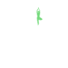Yoga Papa