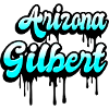 Gilbert Arizona design