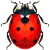 Ladybug