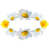 Spring Spring Vibes Flowers