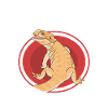 Cadeau reptiles dragons barbus