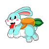 Rabbit Carrot