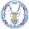 Farbenfroher Skarabäus