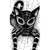 Spider Cat