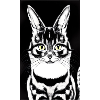 Rabbit Cat