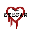 Team STEFAN