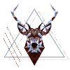 Deer1