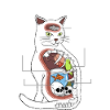 Cat Anatomy