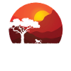 Baboon at sunset