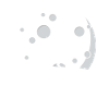 Baboon At Night