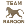 Team Baboon